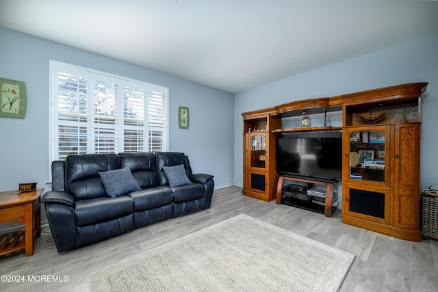 living room with light hardwood / wood-style floors