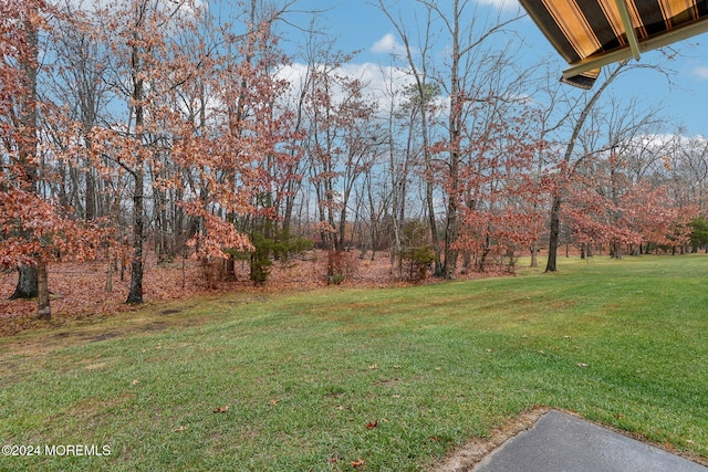 43 Spyglass Dr, Jackson, NJ 08527 - view of green lawn