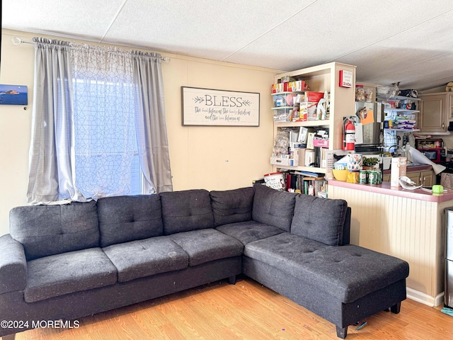 living room featuring wood-type flooring and a textured ceiling