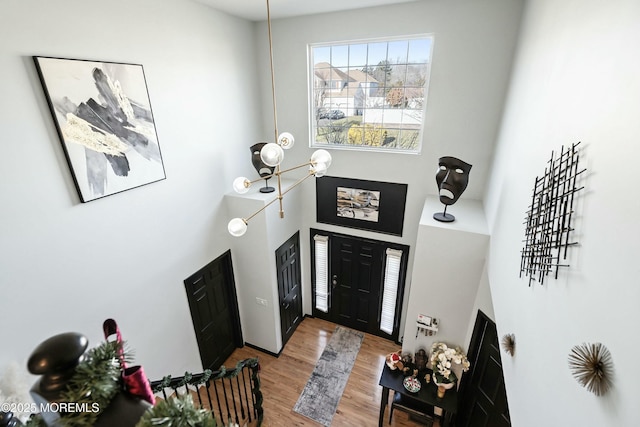 foyer with wood-type flooring