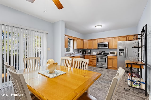 dining area featuring ceiling fan, sink, and light wood-type flooring