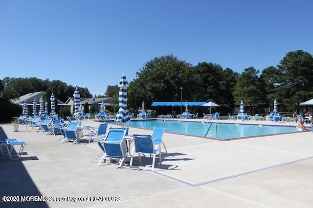 view of pool with a patio