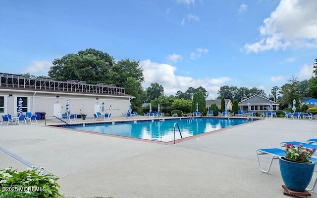 view of pool with a patio