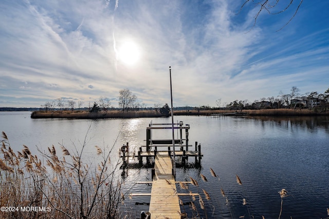 dock area with a water view