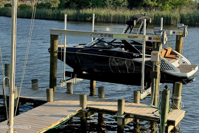 dock area with a water view