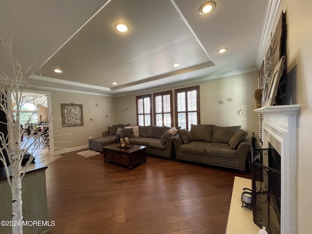 living room featuring ornamental molding, a raised ceiling, and dark wood-type flooring