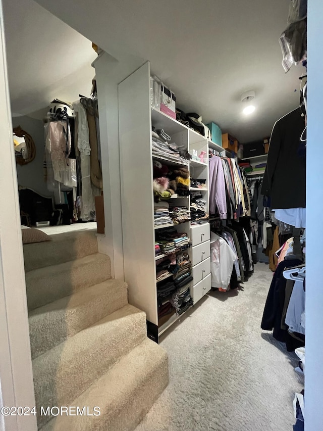 spacious closet with light carpet