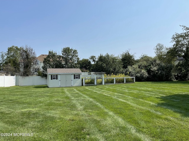 view of yard featuring a pergola and a storage shed