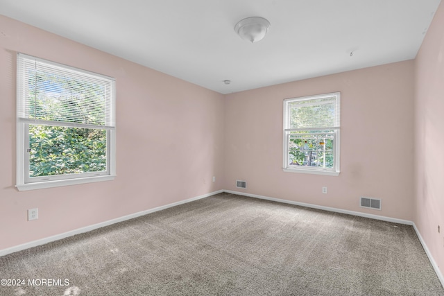 empty room featuring carpet floors and a wealth of natural light