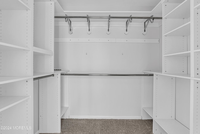 spacious closet featuring carpet flooring