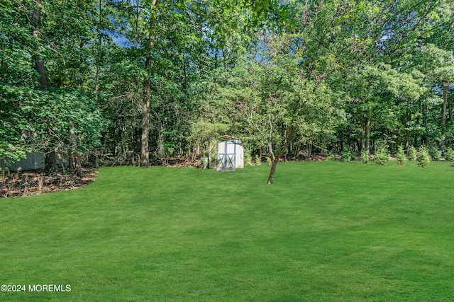 view of yard with a storage unit