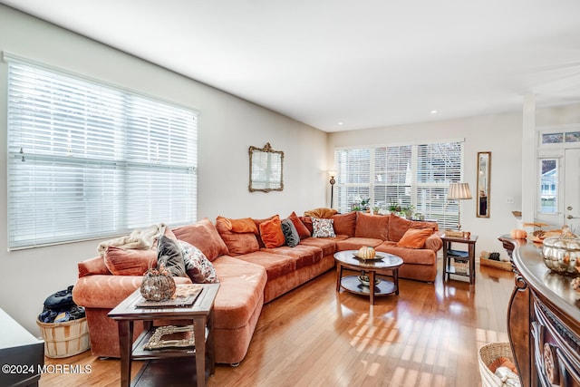 living room featuring plenty of natural light and light hardwood / wood-style flooring