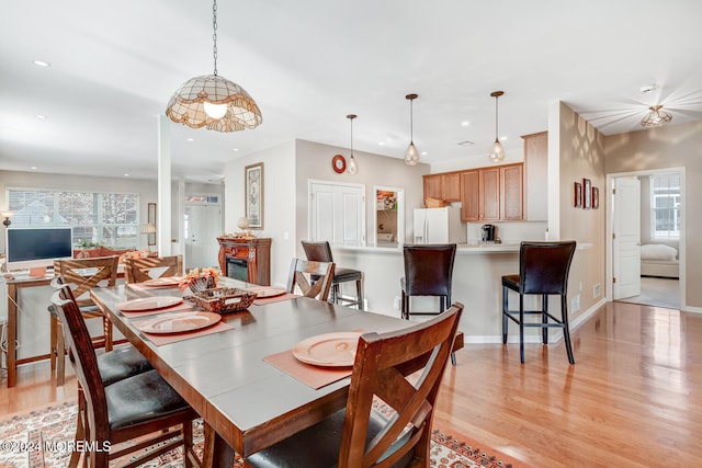 dining space featuring a healthy amount of sunlight and light hardwood / wood-style floors