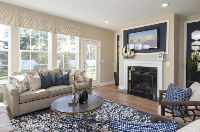 living room featuring hardwood / wood-style flooring and a healthy amount of sunlight