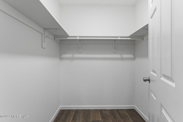 spacious closet with dark hardwood / wood-style flooring