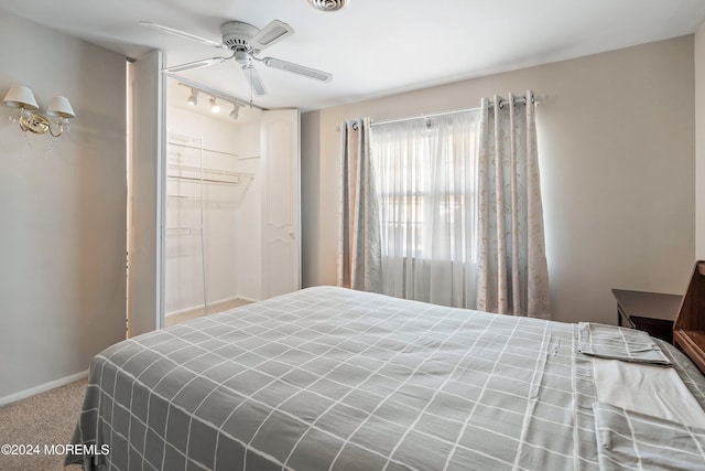 bedroom with a walk in closet, rail lighting, ceiling fan, carpet floors, and a closet