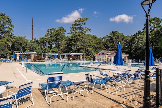 view of pool with a patio area