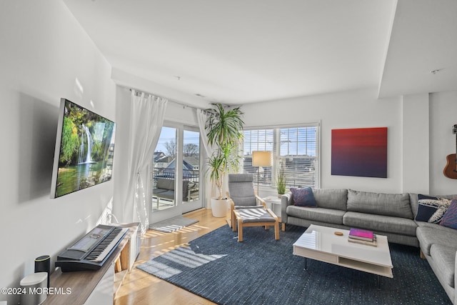 living room with hardwood / wood-style floors