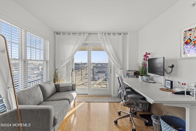 office featuring wood finished floors