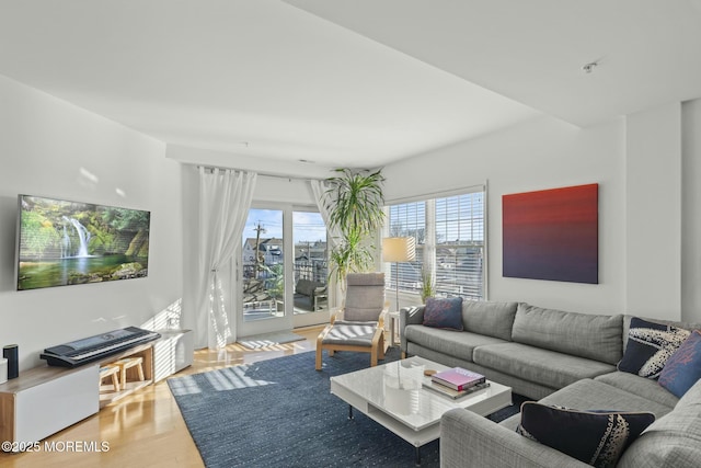 living room featuring wood finished floors