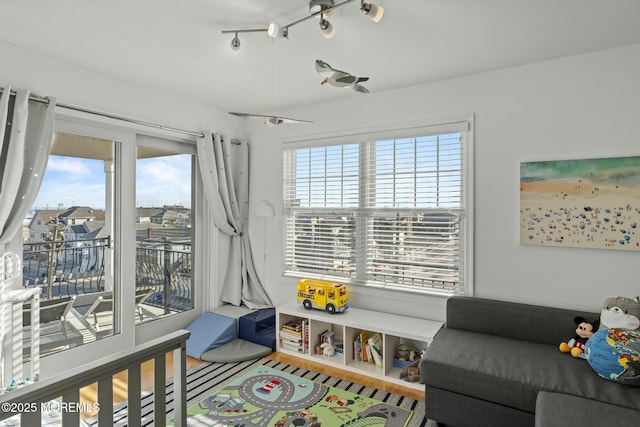 rec room featuring plenty of natural light and wood finished floors