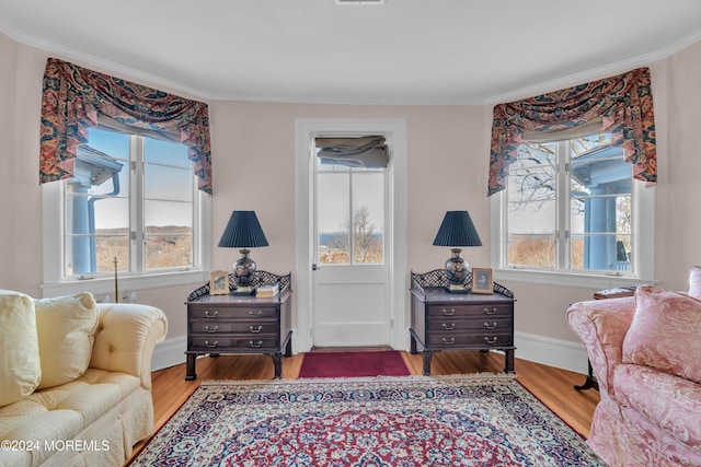 living area featuring wood finished floors, baseboards, and ornamental molding