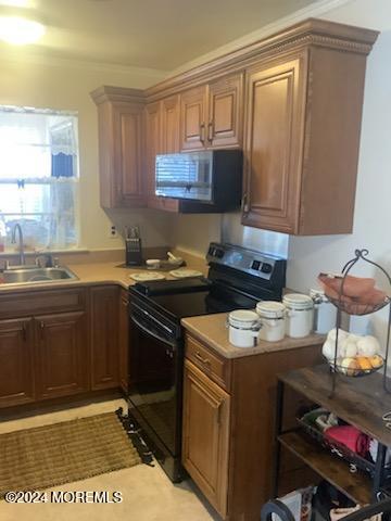 kitchen featuring black electric range oven, crown molding, and sink