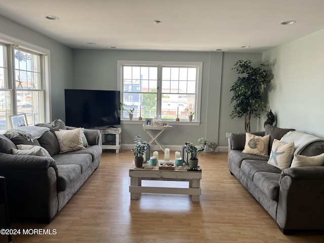 living room featuring light hardwood / wood-style flooring