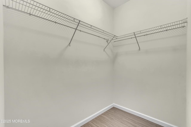 spacious closet featuring hardwood / wood-style flooring