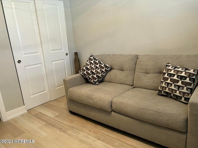 living room featuring light hardwood / wood-style floors