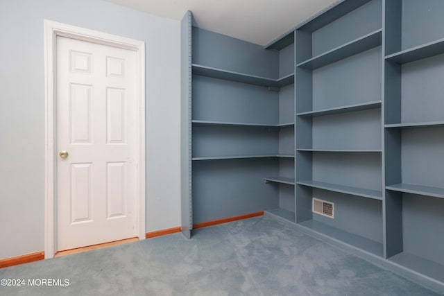 walk in closet with carpet floors