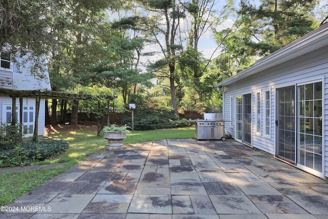 view of patio / terrace featuring a grill