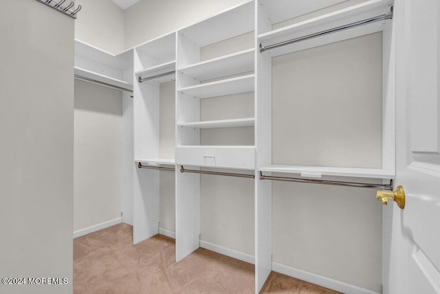 walk in closet featuring light carpet