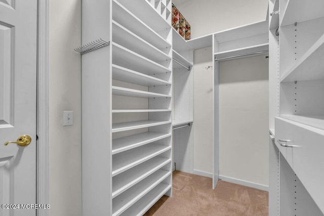 spacious closet with light colored carpet