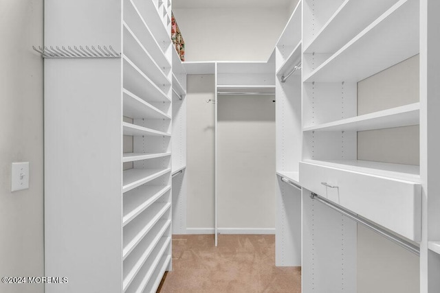 walk in closet featuring light carpet