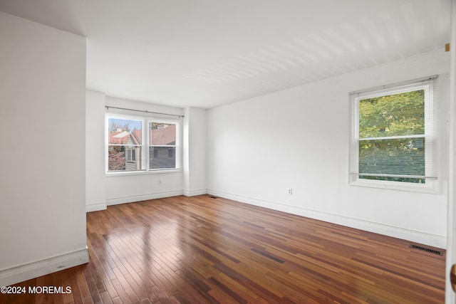 empty room featuring a healthy amount of sunlight and wood-type flooring