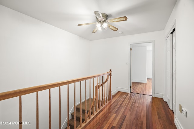 corridor featuring dark hardwood / wood-style flooring