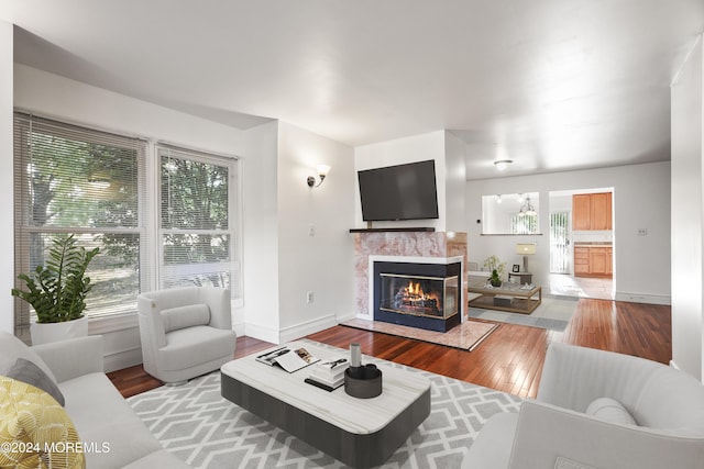 living room featuring a multi sided fireplace and hardwood / wood-style flooring