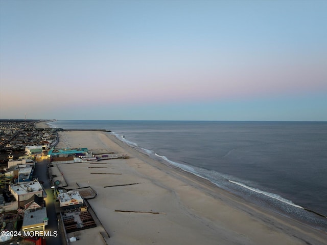 property view of water with a beach view