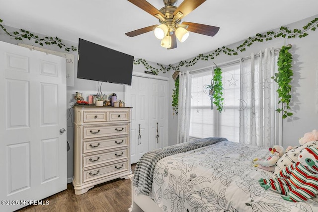 bedroom with ceiling fan, a closet, and dark wood-type flooring