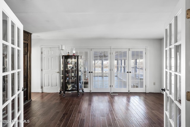 spare room featuring french doors and dark wood-type flooring