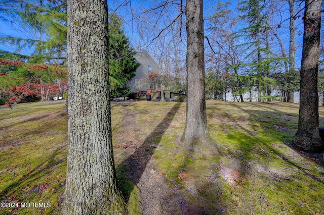 view of yard with a water view