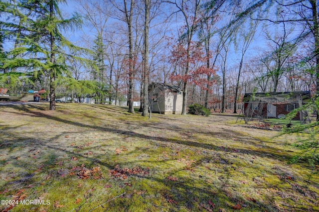 view of yard with a storage unit