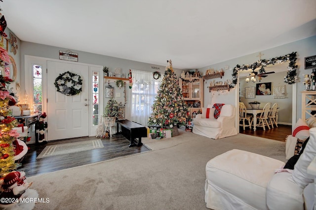 living room with dark hardwood / wood-style flooring, ceiling fan, and a healthy amount of sunlight