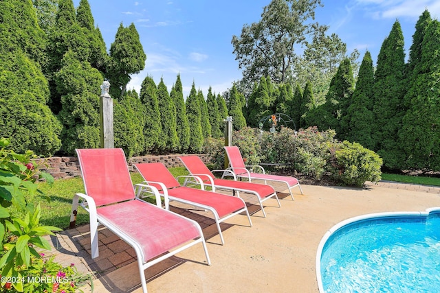 view of swimming pool with a patio area