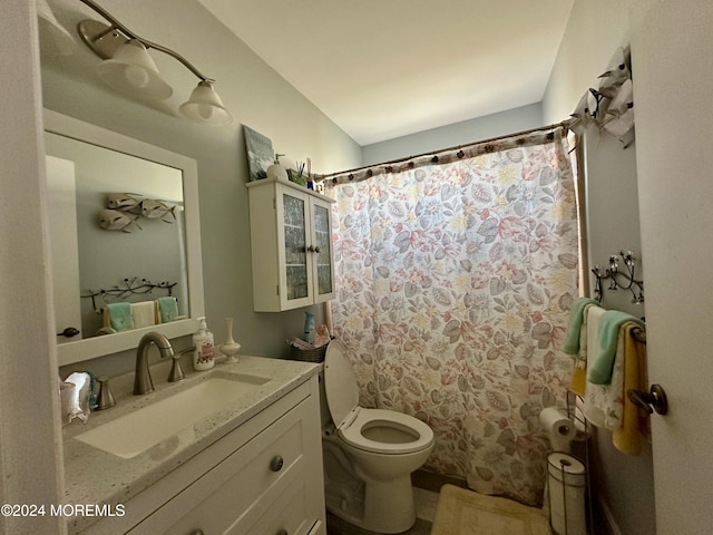 bathroom featuring vanity, a shower with shower curtain, and toilet