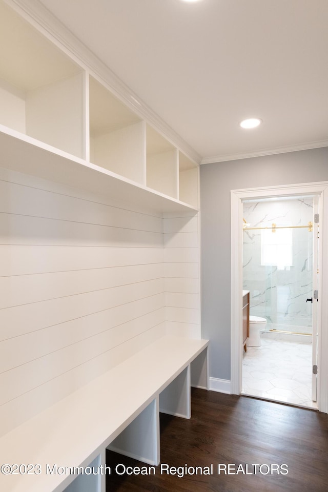 mudroom featuring dark hardwood / wood-style floors and crown molding