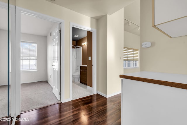 hallway featuring dark hardwood / wood-style floors