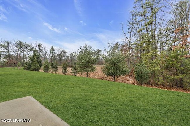 170 Woodside Ln, Whiting, NJ 08759 - photo 21