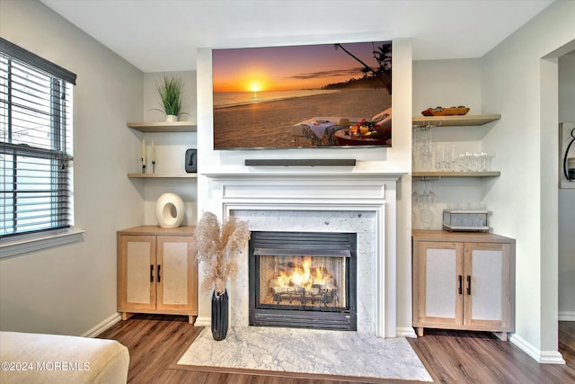 room details featuring wood-type flooring and a premium fireplace